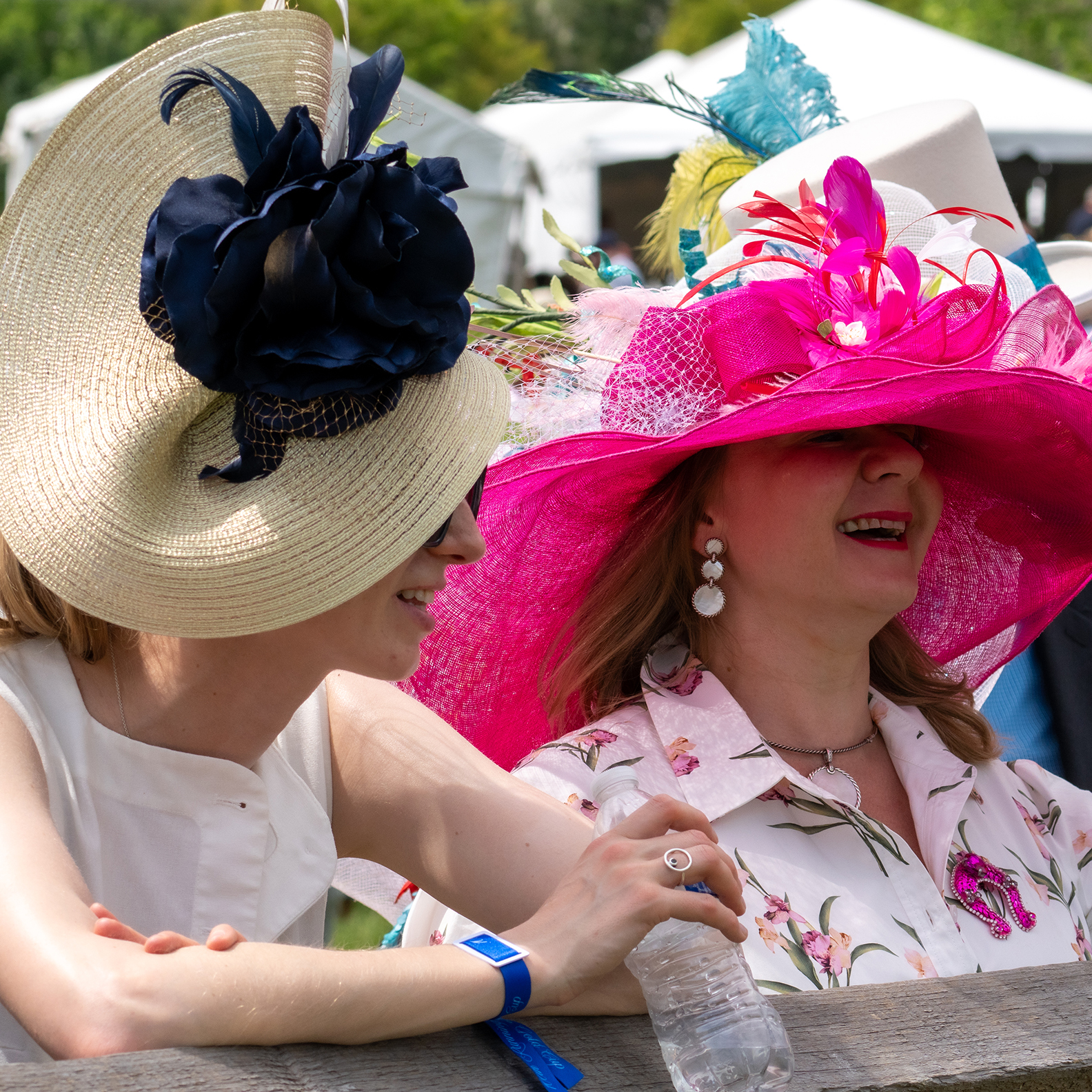 The Virginia Gold Cup
